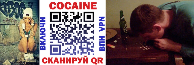Cocaine FishScale  где можно купить   Пущино 
